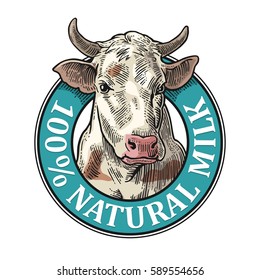 Cows head. Natural Milk lettering. Hand drawn in a graphic style. Vintage vector engraving illustration for label, poster, logotype.