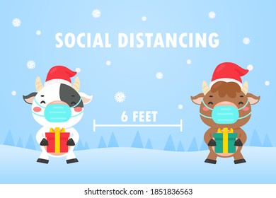 Cows leave social spaces holding gift boxes during winter Christmas day.