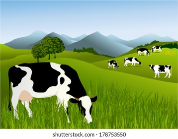 Cows in a meadow