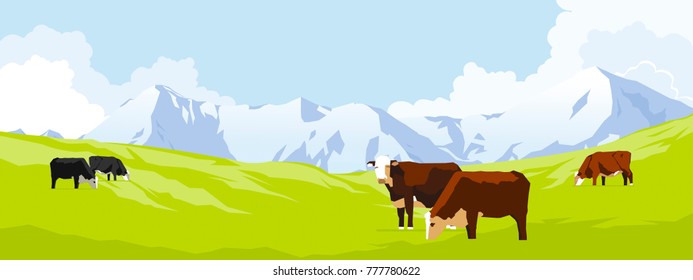 Cows in a meadow