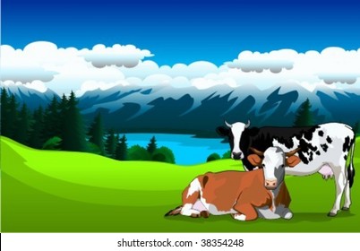 Cows on the Alpine meadows