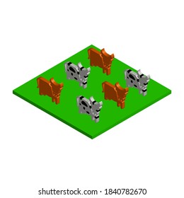 Vacas sobre hierba verde sobre fondo blanco, imagen isométrica, imagen vectorial