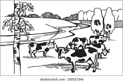 Cows on meadow. Illustration. Line. Vector. Vector image. Landscape with cows.