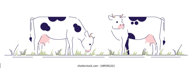 Cows on pasture flat vector illustration. Livestock, cattle farming, animal husbandry design element with outline. Dairy farm. Cartoon spotted cows grazing in field isolated on white background