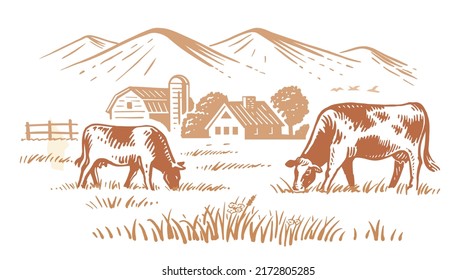 Cows on village meadow vector. Hand drawn sketch livestock with mountain