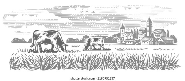 Cows on village meadow vector. Hand drawn sketch livestock with mountain