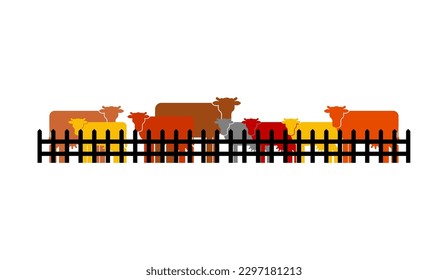 Cows in paddock. bulls behind fence