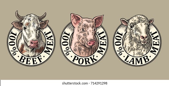 Cows, pig, sheep head. 100 percent beef pork lamb meat lettering. Hand drawn in a graphic style. Vintage color vector engraving illustration for label, poster, logotype. Isolated on gray background