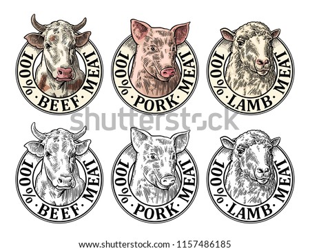 Cows, pig, sheep head. 100 percent beef pork lamb meat lettering. Hand drawn in a graphic style. Vintage color vector engraving illustration for label, poster, logotype. Isolated on gray background