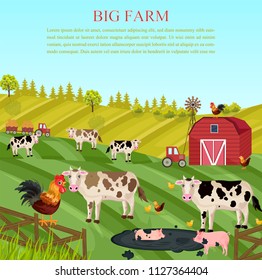 Cows and pigs animals at the farm Vector. summer green backgrounds