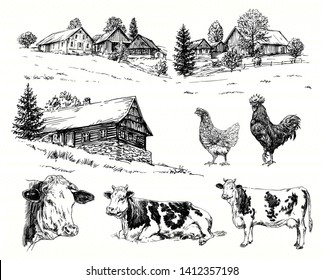 Cows, rural landscape, agriculture. Hand drawn collection