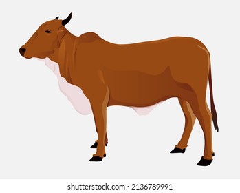 The cows  separate vector illustration on white background