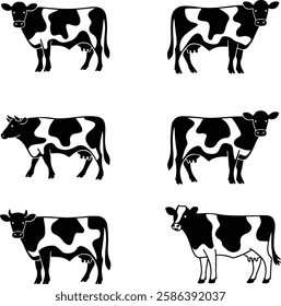 Cows set black silhouettes on a white background. Vector illustration.