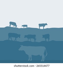 Cows silhouette graze in the field, landscape, sky, grass, pasture. Blue, gray background. Vector