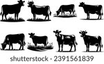 Cows Silhouettes In Different Poses Cow Grazing On Meadow
