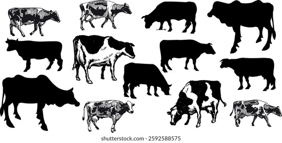 Cows Silhouettes In Different Poses Cow Grazing On Meadow