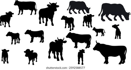 Cows Silhouettes In Different Poses Cow Grazing On Meadow