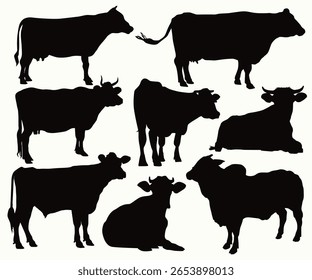 Silhuetas De Vacas Em Diferentes Poses Vaca Pastoreando No Prado. Fazenda, quintal, animais domésticos. Cabeça de vaca e conjunto de silhueta de bezerro. Agricultura e Fazenda de gado leiteiro. Cortes de carne de açougue, boi, carne.