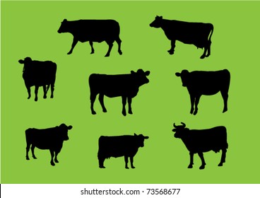 Cows silhouettes - vector