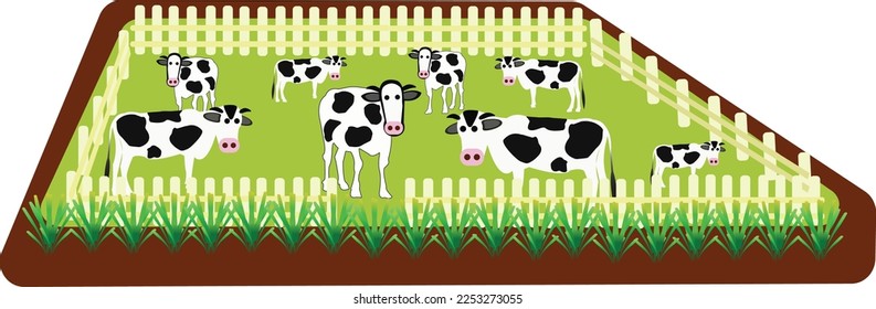 Cows are ungulates that are large pets and mammals.