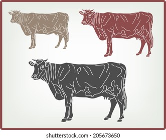 Cows, vector illustration