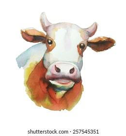 Cow,water color  illustration in vector 