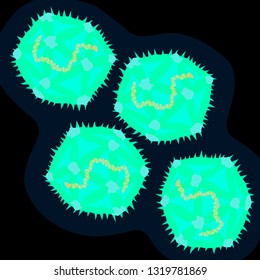 Coxsackievirus on dark background, vector illustration