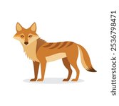 Coyote animal isolated flat vector illustration on white background.