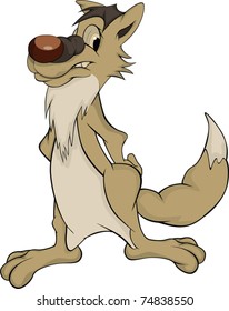 Coyote. Cartoon