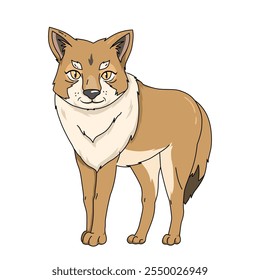 Ilustración de dibujos animados de Coyote. animal salvaje aislado. Colección de dibujos animados de animales. Personaje de dibujos animados de Coyote