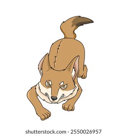 Coyote Cartoon illustration. wildlife animal isolated. Animal cartoon collection. Coyote Cartoon character