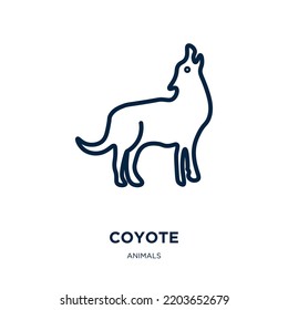 coyote icon from animals collection. Thin linear coyote, animal, nature outline icon isolated on white background. Line vector coyote sign, symbol for web and mobile