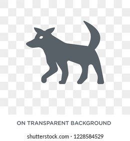Coyote icon. Trendy flat vector Coyote icon on transparent background from animals  collection. 