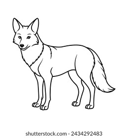 Coyote illustration coloring page for kids