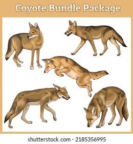 coyote illustrations five objects in single file.
easy to edit, ready to use, animal set, colorful, vector file.