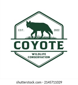 Coyote logo, company logo design idea, vector illustration