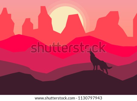 coyote on a desert background at sunset.