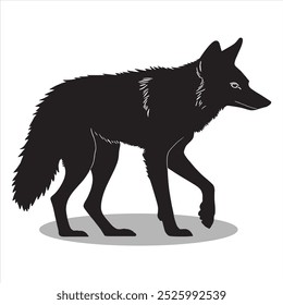 Coyote silhouettes and icons. Black flat color and white background Coyote animal vector and illustration.