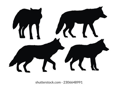 Coyote de pie sobre un fondo blanco. Vector de conjunto de silueta de coyote salvaje. Diseño del paquete de silueta de lobo coyote. Animales carnívoros caminando en diferentes posiciones colección de siluetas.