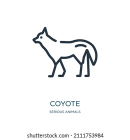 coyote thin line icon. animal, head linear icons from serious animals concept isolated outline sign. Vector illustration symbol element for web design and apps.