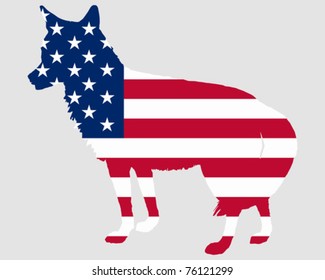 Coyote USA