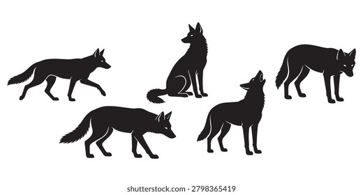 Coyote Vector Set Different Poses