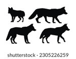 Coyote walking silhouette bundle design. Wild coyotes vector design on a white background. Coyote standing in different positions silhouette collection. Coyote wolf walking silhouette set vector.