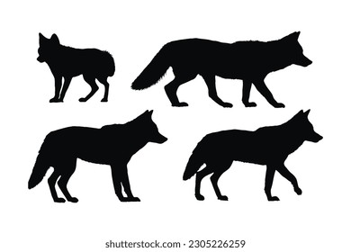 Coyote walking silhouette bundle design. Wild coyotes vector design on a white background. Coyote standing in different positions silhouette collection. Coyote wolf walking silhouette set vector.