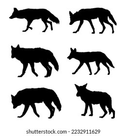 Coyotes Vector Silhouette stock illustration