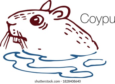 Coypu hand drawn vector illustration. Linear engraved art