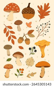 Coleção de clipart de outono acolhedor com cogumelos desenhados à mão, bolotas, bagas e folhas de outono em tons quentes terrosos. Perfeito para adesivos sazonais, projetos de Ação de Graças, impressões com tema de floresta 