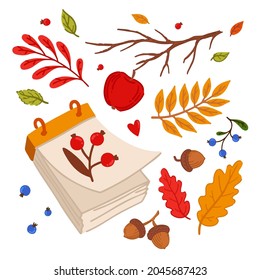 Cozy autumn elements. Loose-leaf calendar. Forest elements