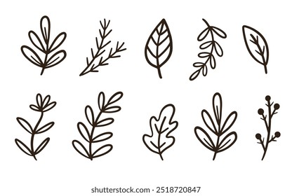 Cozy Autumn Leaves Doodle Sketch Foliage Icons Collection. Fall Forest Leaf Design Elements Set Vector Illustration Vintage Retro Style