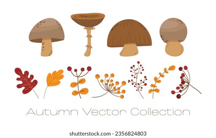 A cozy autumn set of mushrooms, green and red leaves, viburnum and rowan berries. Set of vector flat illustrations in warm colors for cards, invitations, banners and web.